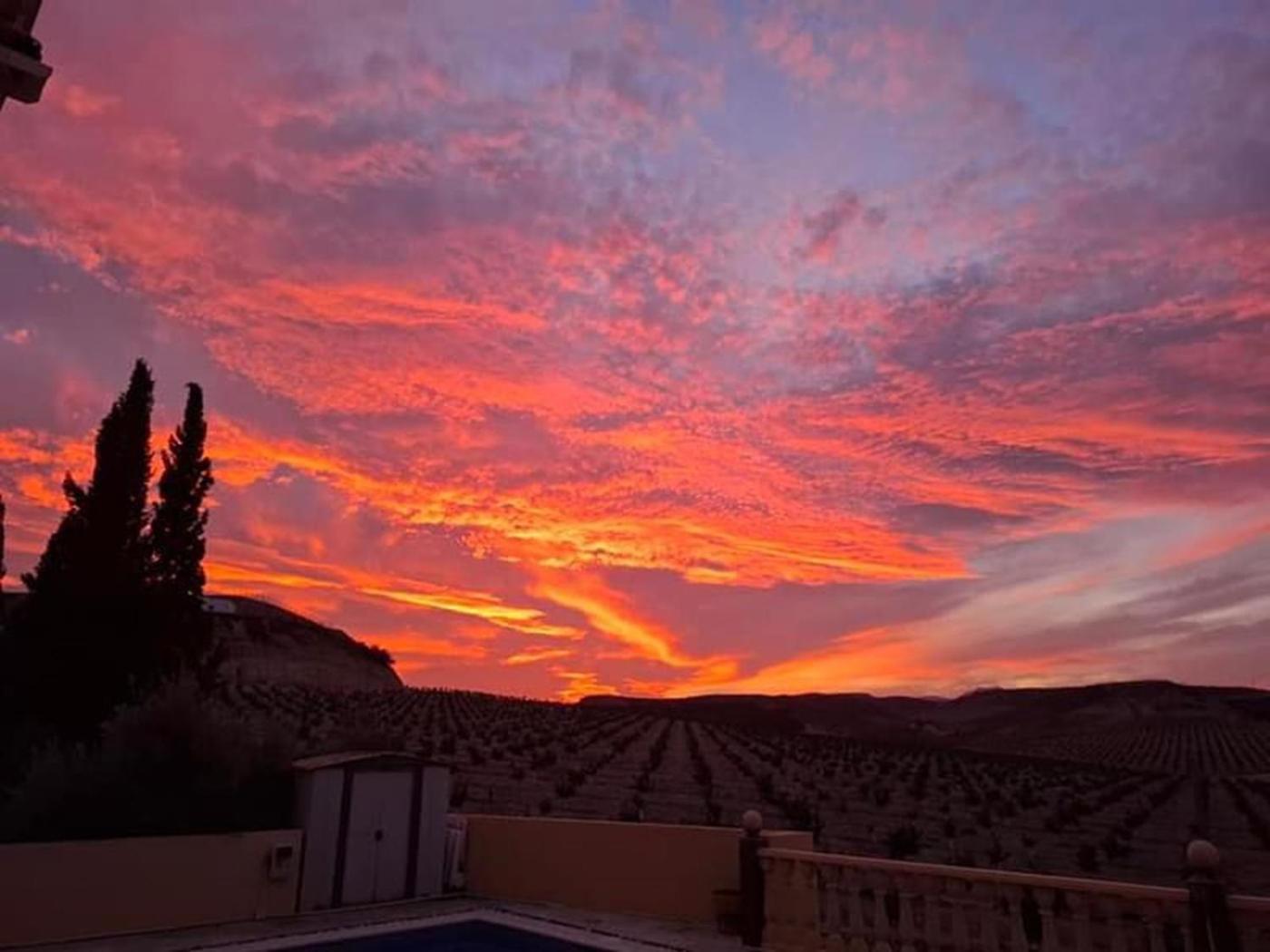 Private Villa Large Pool Elevated Quiet Secluded Location, Near Mojacar Antas Esterno foto